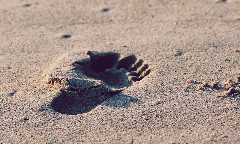 Footprint in the sand